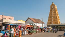 Vacation Rentals & House Rentals in Bengaluru | FlipKey