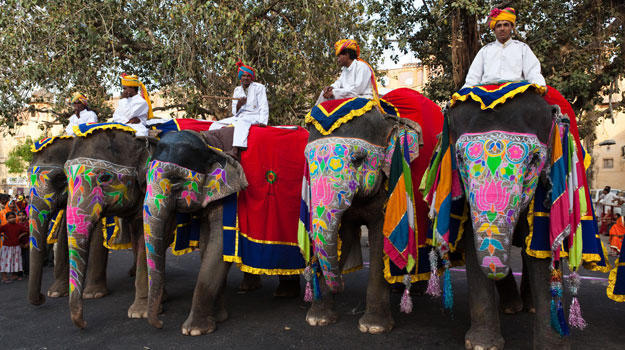 Image result for jaipur travel elephant festival