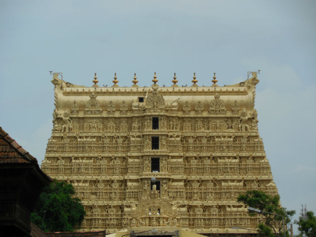 Image: Aravind Sivaraj/Wikimedia commons