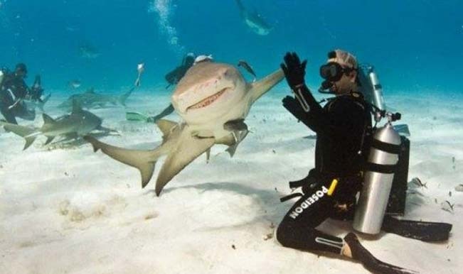 23 reasons why the world is a funny place: Part II 23 reasons why the world is a funny place: Part II