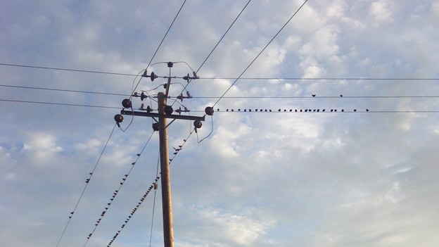 Power line