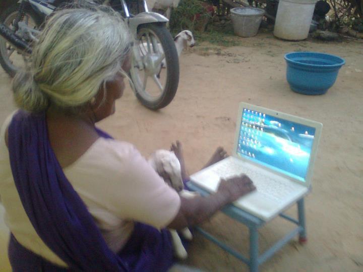Funny pictures that can be clicked only in India Funny pictures that can be clicked only in India
