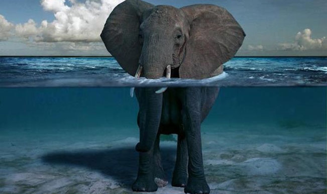 19 amazing pictures that will set your heart racing 19 amazing pictures that will set your heart racing