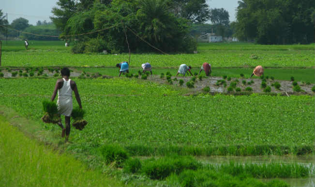 Union Budget 2014: Public-Private-Partnership is encouraged in the National Mission on Agricultural Extension and Technology Union Budget 2014: Public-Private-Partnership is encouraged in the National Mission on Agricultural Extension and Technology