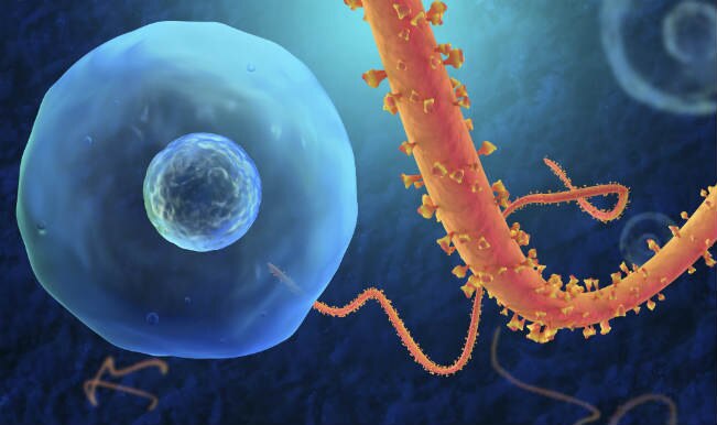 Ebola cases in West Africa could reach 10,000 per week: WHO Ebola cases in West Africa could reach 10,000 per week: WHO