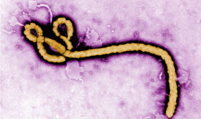 London airport to start screening for Ebola London airport to start screening for Ebola