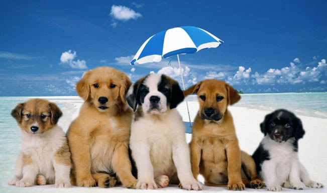 Happy Friendship Day: Best Tweets and pictures to send your friends Happy Friendship Day: Best Tweets and pictures to send your friends