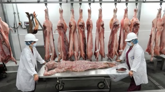 This restaurant serves human flesh! Watch it to believe it ... - 568 x 317 png 406kB