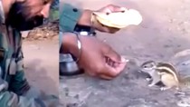 Watch the heartwarming video of Indian soldier feeding hungry squirrel!