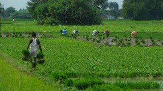 Uniform package policy for farmers: United India Insurance CMD Uniform package policy for farmers: United India Insurance CMD