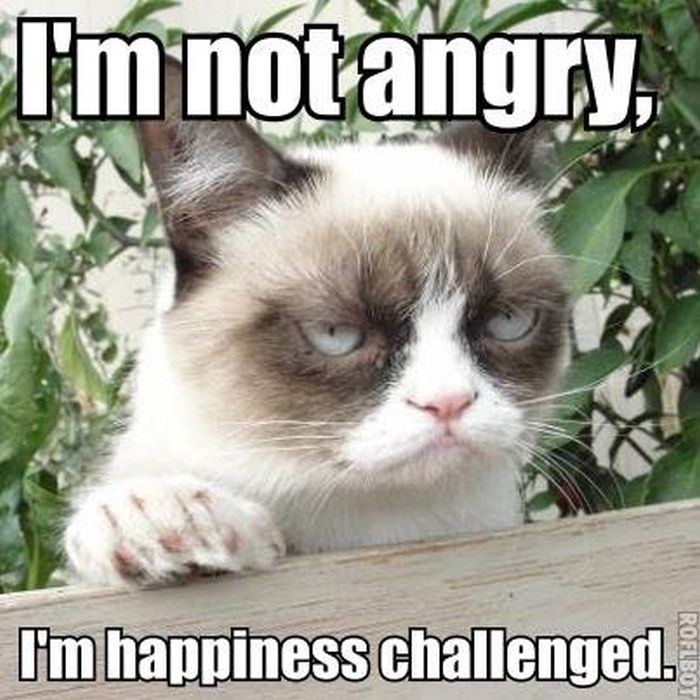 21 Grumpy Cat Memes You Can Relate To Every Monday Of Your Life India