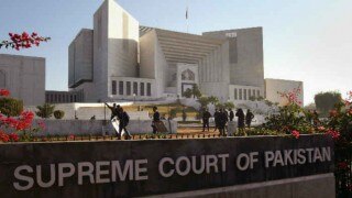 Pakistan court lifts ban on rare bird hunting Pakistan court lifts ban on rare bird hunting