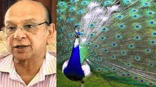 'Save bisons, peacocks, but monkeys and wild boars are a menace' 'Save bisons, peacocks, but monkeys and wild boars are a menace'