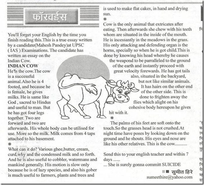 Funny essay hindi