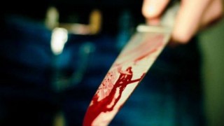 Delhi: Man stabs wife 35 times, injures son in Dilshad Garden Delhi: Man stabs wife 35 times, injures son in Dilshad Garden