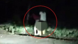 Driver swerves off road to avoid accident at night, ends up almost crashing into couple making out in the bushes! Driver swerves off road to avoid accident at night, ends up almost crashing into couple making out in the bushes!