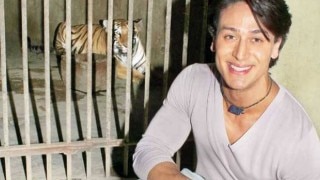 International Tiger Day 2016: Tiger Shroff writes to Environment Minister to save the big cats International Tiger Day 2016: Tiger Shroff writes to Environment Minister to save the big cats