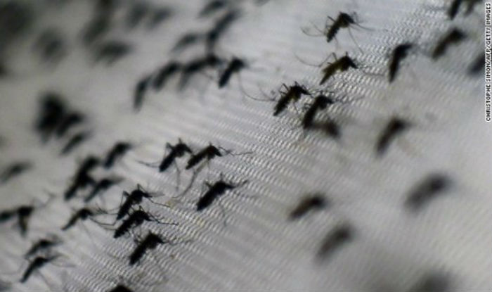 Pregnant women are fearful living in Miami's Zika hot zone
