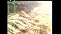 Himachal Pradesh: 44-year old bridge collapsed, no casualties reported (Watch video)