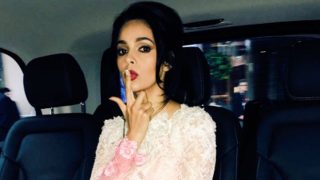 Mallika Sherawat attacked in Paris: Bollywood actress tear-gassed, beaten up in hotel! Mallika Sherawat attacked in Paris: Bollywood actress tear-gassed, beaten up in hotel!