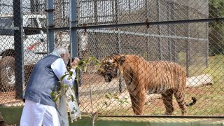 PM Narendra Modi clicked a photo of a Tiger and Twitter went crazy PM Narendra Modi clicked a photo of a Tiger and Twitter went crazy