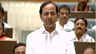 Telangana to formulate comprehensive plan for fisheries, sheep rearing Telangana to formulate comprehensive plan for fisheries, sheep rearing