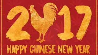 Chinese Lunar New Year 2017: Know Important dates of the Year of the Rooster; Lucky and Unlucky Things for Roosters! Chinese Lunar New Year 2017: Know Important dates of the Year of the Rooster; Lucky and Unlucky Things for Roosters!