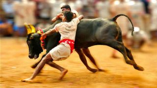 LIVE - Jallikattu protests in Tamil Nadu: Sec 144 imposed in several parts of Madurai LIVE - Jallikattu protests in Tamil Nadu: Sec 144 imposed in several parts of Madurai