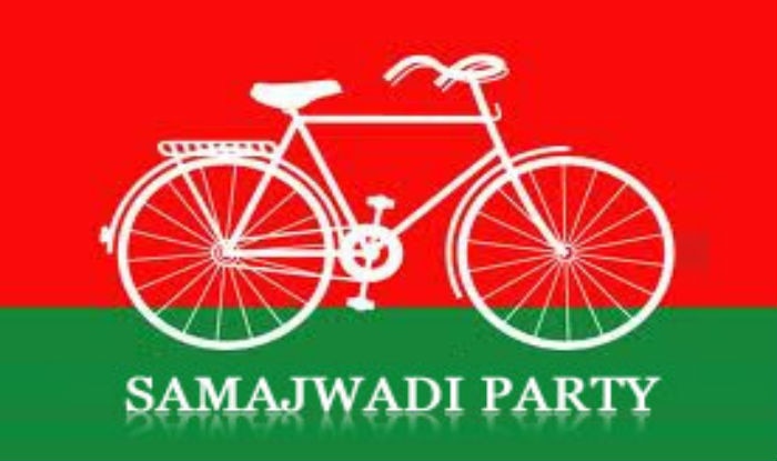 Image result for samajwadi party symbol