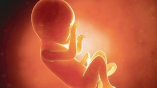 Kerala: Two-Day-Old Baby Girl Flushed Down Toilet at a Clinic Kerala: Two-Day-Old Baby Girl Flushed Down Toilet at a Clinic