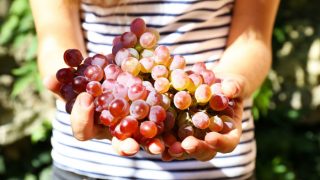 Health benefits of grapes: 7 reasons why you should eat more grapes Health benefits of grapes: 7 reasons why you should eat more grapes