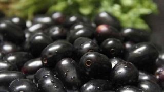 IIT Roorkee students create cheap solar cell using jamun IIT Roorkee students create cheap solar cell using jamun