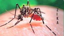 Zika virus enters India: Identify Symptoms & remedies, Steps to take for precautions against mosquito-borne disease
