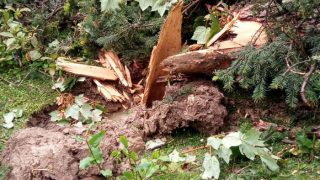 Kashmir: 7 dead after Gondola tower in Gulmarg city collapses Kashmir: 7 dead after Gondola tower in Gulmarg city collapses
