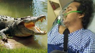 Shocking! Bengaluru entrepreneur who lost his arm in crocodile attack may face legal charges for trespassing Shocking! Bengaluru entrepreneur who lost his arm in crocodile attack may face legal charges for trespassing