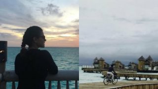 Kajol's adventurous bike ride on the wooden path of Maldives will instantly boost you! Kajol's adventurous bike ride on the wooden path of Maldives will instantly boost you!