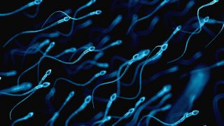 Sperm Concentration Is Declining In Western Men, As Per This New Analysis Sperm Concentration Is Declining In Western Men, As Per This New Analysis