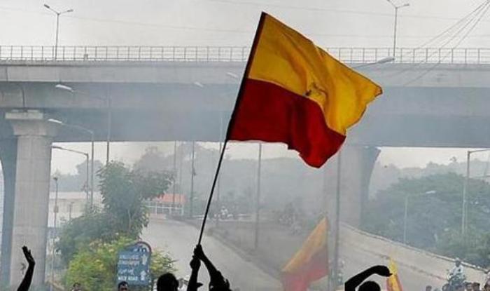 Karnataka government appoints panel to design its own state flag