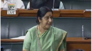 India Raised Tibet, Stapled Visa Issues With China: Sushma Swaraj India Raised Tibet, Stapled Visa Issues With China: Sushma Swaraj