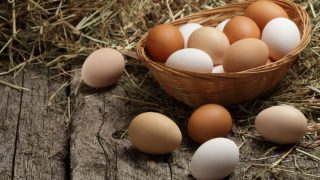 Health Benefits of Eggs: 5 Reasons to Eat Eggs Every Day Health Benefits of Eggs: 5 Reasons to Eat Eggs Every Day