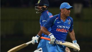 MS Dhoni Survives After Bails Remain Intact When Ball Hits Stumps, Watch Video MS Dhoni Survives After Bails Remain Intact When Ball Hits Stumps, Watch Video