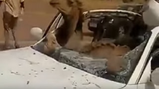Camel died after colliding with car in Barhmer, 3 injured | बाड़मेर: ऊंट से हुई गाड़ी की टक्कर, तीन लोग घायल Camel died after colliding with car in Barhmer, 3 injured | बाड़मेर: ऊंट से हुई गाड़ी की टक्कर, तीन लोग घायल