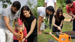 Lovebirds Anushka Sharma And Virat Kohli Plant A Sapling Together In Sri Lanka – View HQ Pics Lovebirds Anushka Sharma And Virat Kohli Plant A Sapling Together In Sri Lanka – View HQ Pics