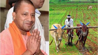 UP: CM Yogi to distribute loan waiver certificates to farmers on August 17 | यूपी: किसान ऋण माफी योजना के सर्टिफिकेट बांटेंगे सीएम योगी UP: CM Yogi to distribute loan waiver certificates to farmers on August 17 | यूपी: किसान ऋण माफी योजना के सर्टिफिकेट बांटेंगे सीएम योगी