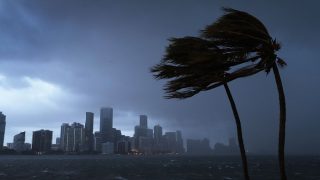 Irma Toll up to 50 Dead in Florida: Officials Irma Toll up to 50 Dead in Florida: Officials
