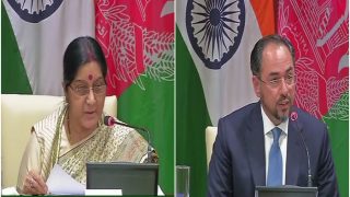 India, Afghanistan Vow to Fight Terrorism Together, Kabul Pitches For Delhi's Permanent Membership For UN Security Council India, Afghanistan Vow to Fight Terrorism Together, Kabul Pitches For Delhi's Permanent Membership For UN Security Council