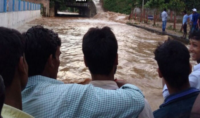 Fiu bridge collapse analysis image