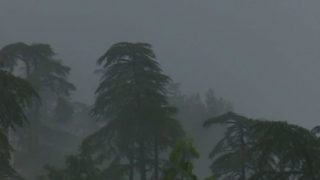 Snowfall in Upper Parts of Himachal Pradesh, Shimla And Other Regions Witness Rainfall Snowfall in Upper Parts of Himachal Pradesh, Shimla And Other Regions Witness Rainfall