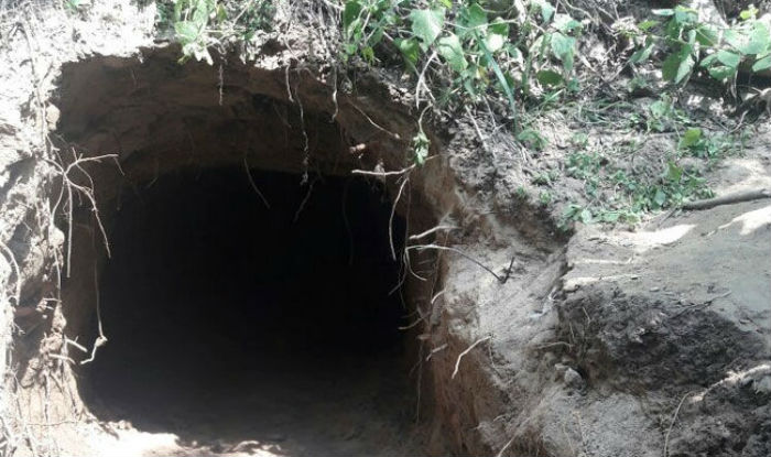 J&K: BSF detects 14-foot secret tunnel in Arnia sector
