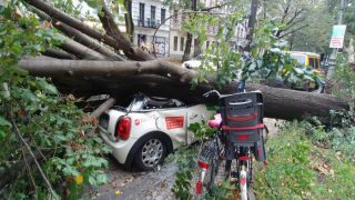 Germany: Storm 'Xavier' Kills 7, Rail Services in Northern And Eastern Parts Cancelled Germany: Storm 'Xavier' Kills 7, Rail Services in Northern And Eastern Parts Cancelled